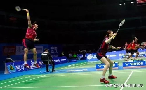 乒協(xié)：王皓 馬琳擬任國乒男女隊主教練