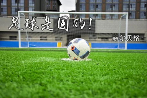 勞塔羅續約
