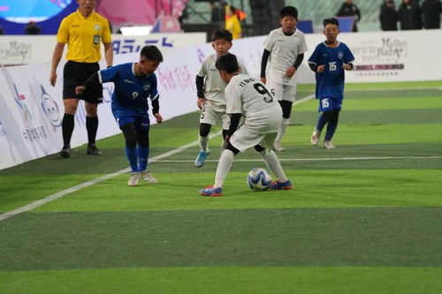 亞洲U16女排錦標(biāo)賽：中國隊(duì)1-3日本隊(duì)屈居亞軍