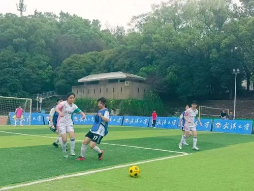 多名主力歸隊 山東高速男籃夏訓(xùn)提速