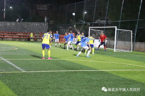 圖片報：多特與赫塔中場艾希霍恩展開接觸轉會費約1000萬歐